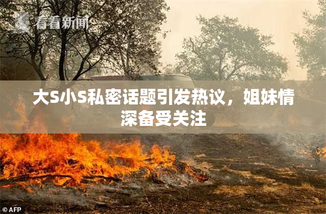 大S小S私密话题引发热议，姐妹情深备受关注