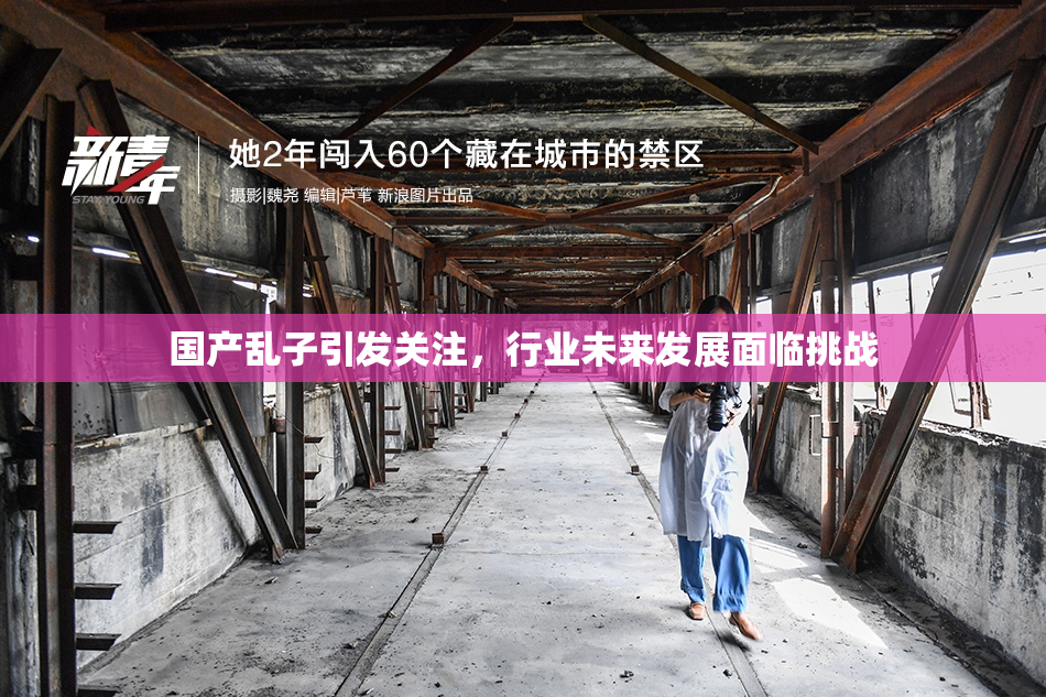 国产乱子引发关注，行业未来发展面临挑战