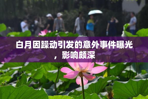 白月因躁动引发的意外事件曝光，影响颇深