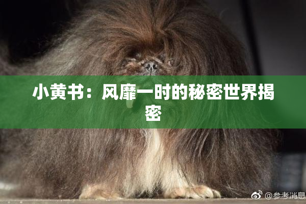 小黄书：风靡一时的秘密世界揭密