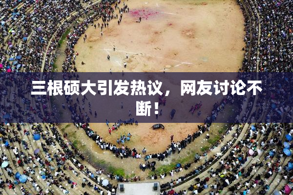 三根硕大引发热议，网友讨论不断！
