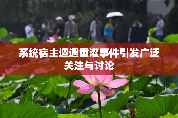 系统宿主遭遇重灌事件引发广泛关注与讨论