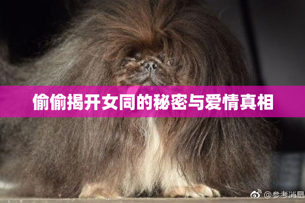 偷偷揭开女同的秘密与爱情真相