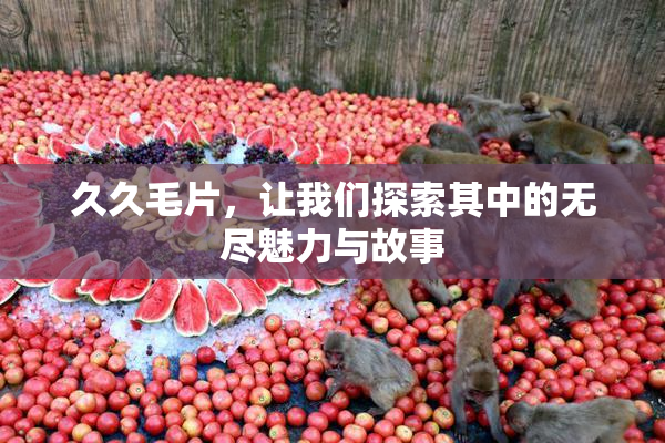 久久毛片，让我们探索其中的无尽魅力与故事