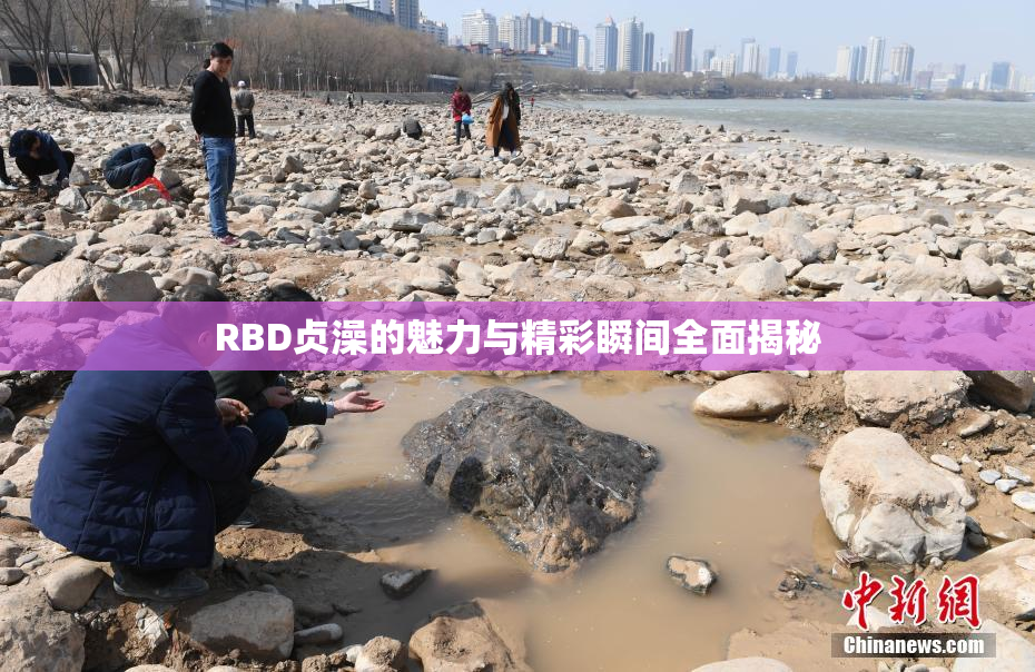 RBD贞澡的魅力与精彩瞬间全面揭秘
