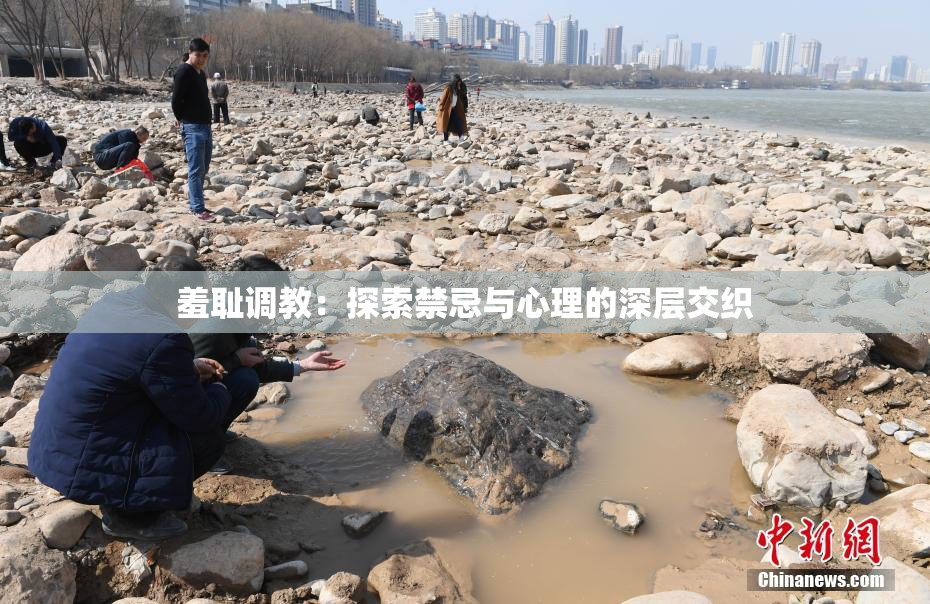 羞耻调教：探索禁忌与心理的深层交织