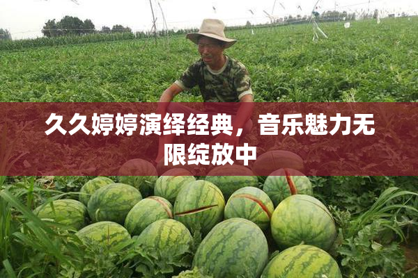 久久婷婷演绎经典，音乐魅力无限绽放中