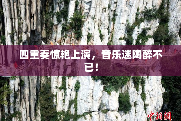 四重奏惊艳上演，音乐迷陶醉不已！