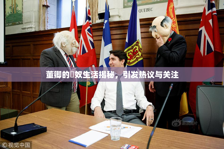 董卿的婬奴生活揭秘，引发热议与关注