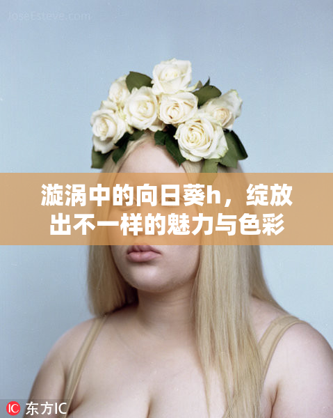 漩涡中的向日葵h，绽放出不一样的魅力与色彩