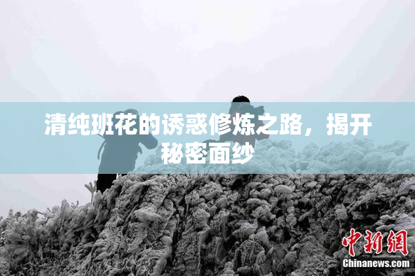 清纯班花的诱惑修炼之路，揭开秘密面纱