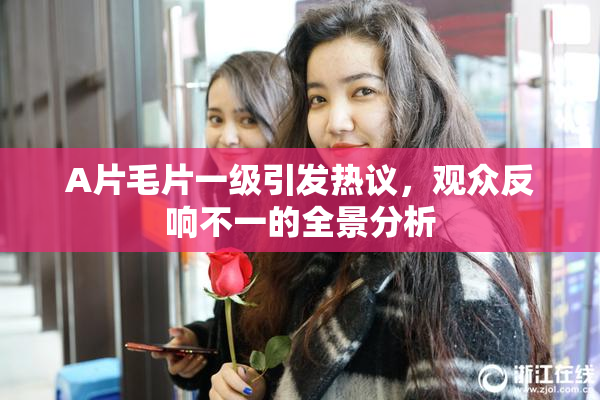 A片毛片一级引发热议，观众反响不一的全景分析