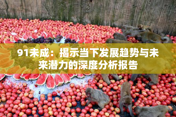 91未成：揭示当下发展趋势与未来潜力的深度分析报告