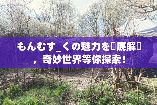 もんむす_くの魅力を徹底解説，奇妙世界等你探索！