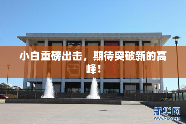 小白重磅出击，期待突破新的高峰！