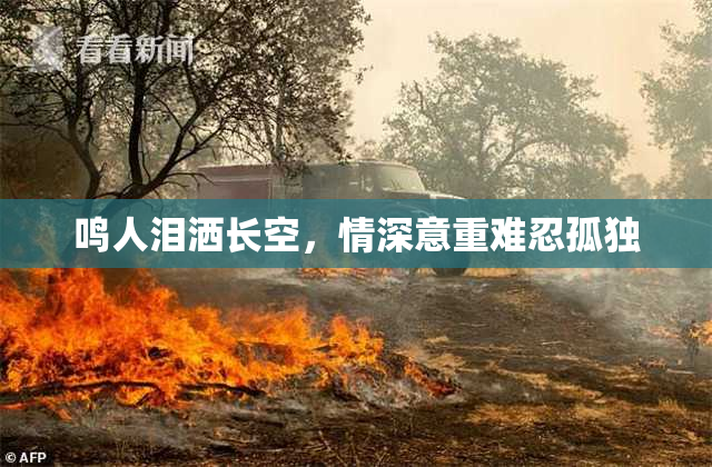 鸣人泪洒长空，情深意重难忍孤独