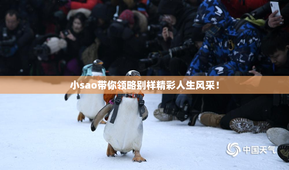 小sao带你领略别样精彩人生风采！