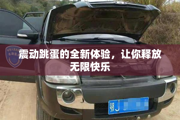 震动跳蛋的全新体验，让你释放无限快乐