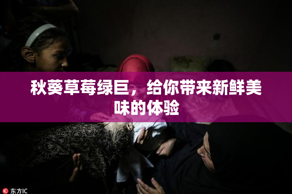 秋葵草莓绿巨，给你带来新鲜美味的体验