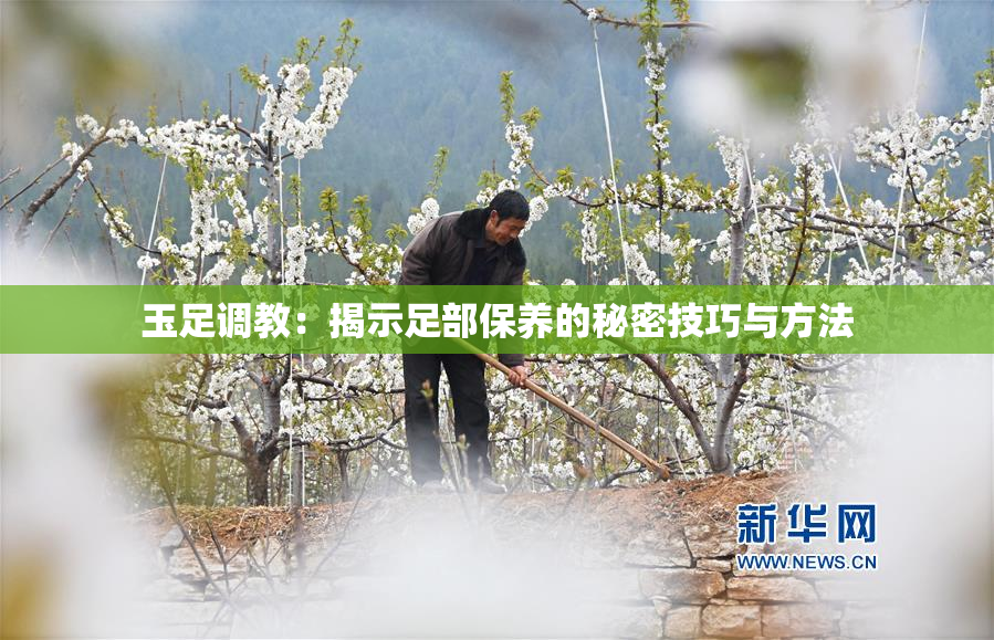 玉足调教：揭示足部保养的秘密技巧与方法