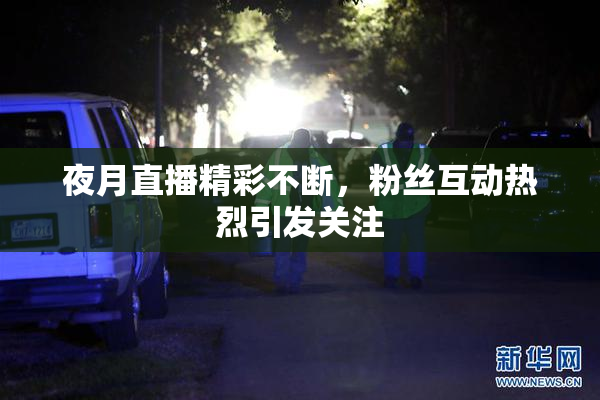 夜月直播精彩不断，粉丝互动热烈引发关注