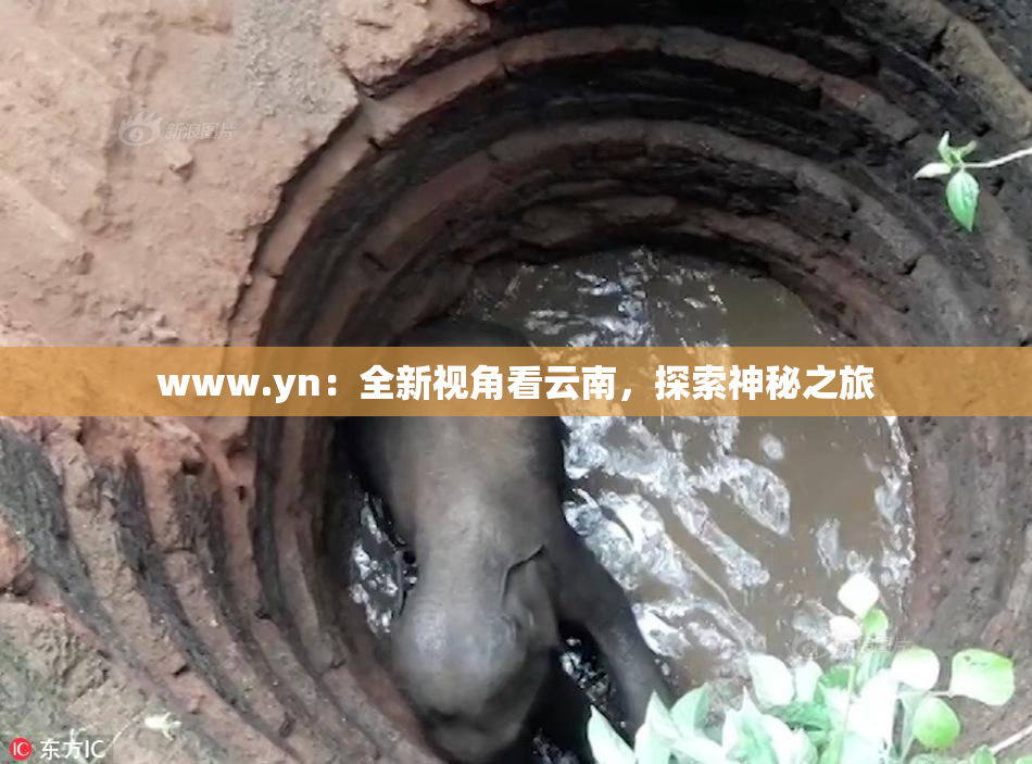 www.yn：全新视角看云南，探索神秘之旅