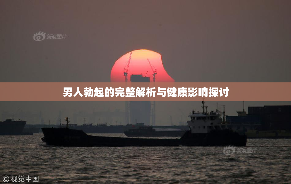 男人勃起的完整解析与健康影响探讨