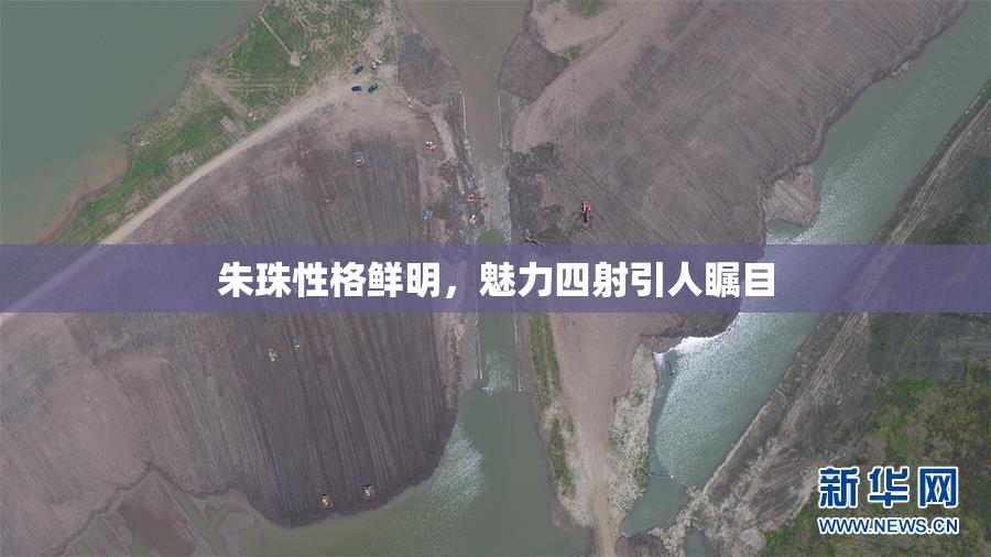 朱珠性格鲜明，魅力四射引人瞩目