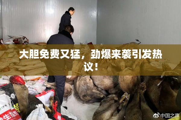 大胆免费又猛，劲爆来袭引发热议！
