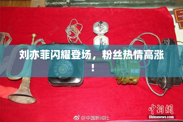 刘亦菲闪耀登场，粉丝热情高涨！