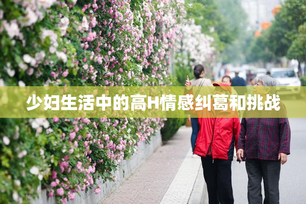 少妇生活中的高H情感纠葛和挑战