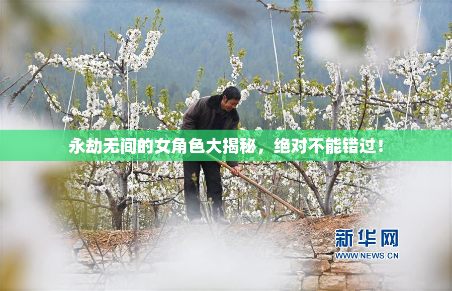 永劫无间的女角色大揭秘，绝对不能错过！