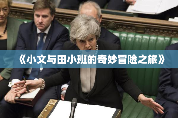 《小文与田小班的奇妙冒险之旅》