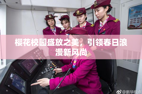 樱花校园盛放之美，引领春日浪漫新风尚