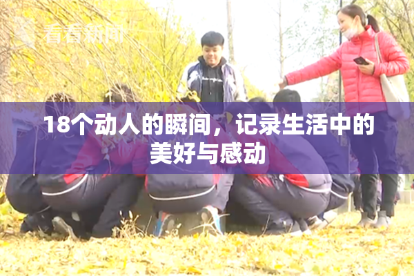 18个动人的瞬间，记录生活中的美好与感动