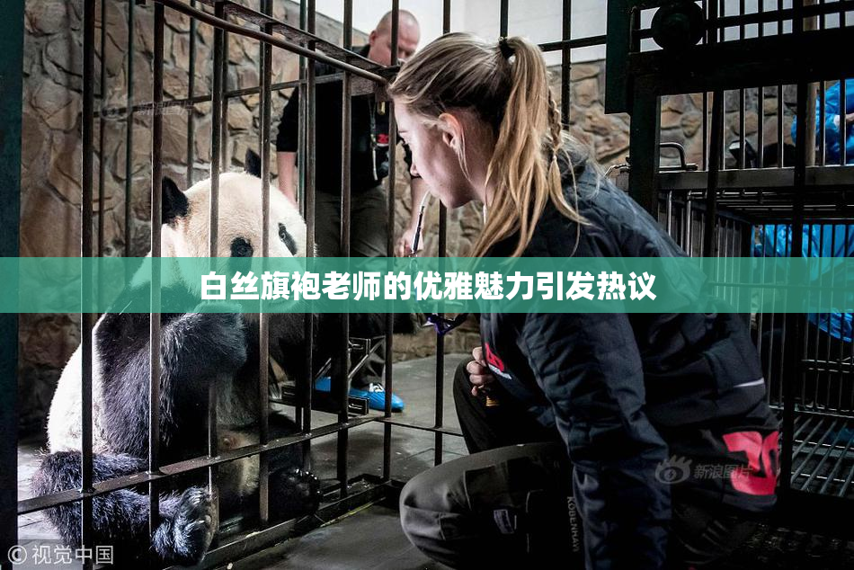 白丝旗袍老师的优雅魅力引发热议