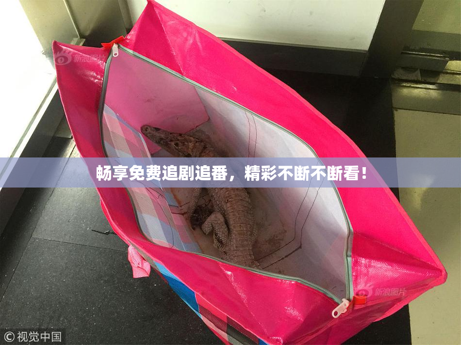 畅享免费追剧追番，精彩不断不断看！