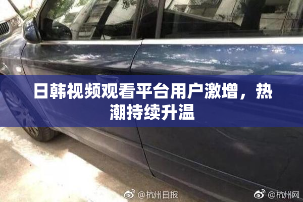日韩视频观看平台用户激增，热潮持续升温