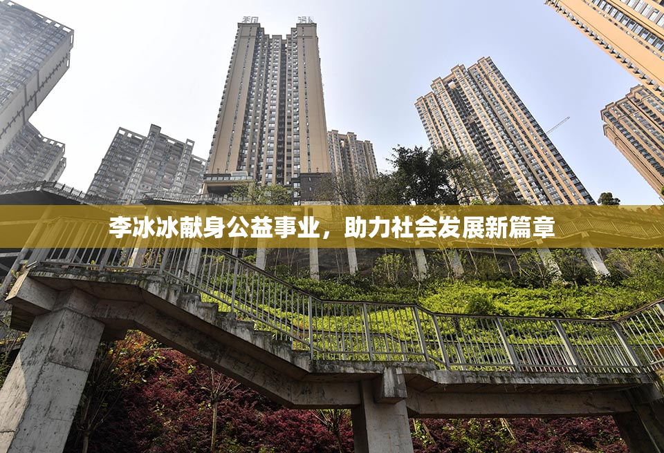 李冰冰献身公益事业，助力社会发展新篇章