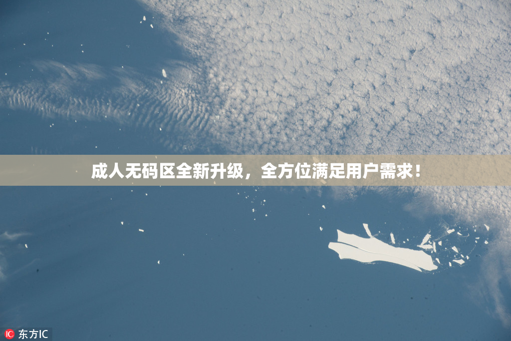 成人无码区全新升级，全方位满足用户需求！
