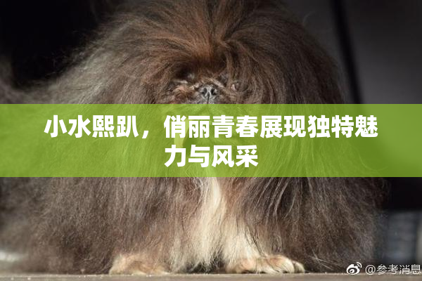 小水熙趴，俏丽青春展现独特魅力与风采