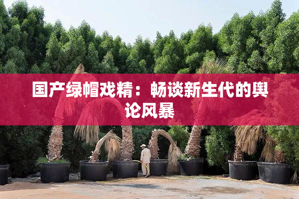 国产绿帽戏精：畅谈新生代的舆论风暴