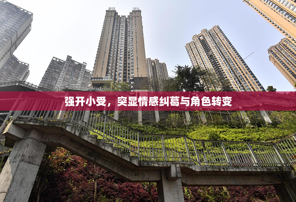 强开小受，突显情感纠葛与角色转变