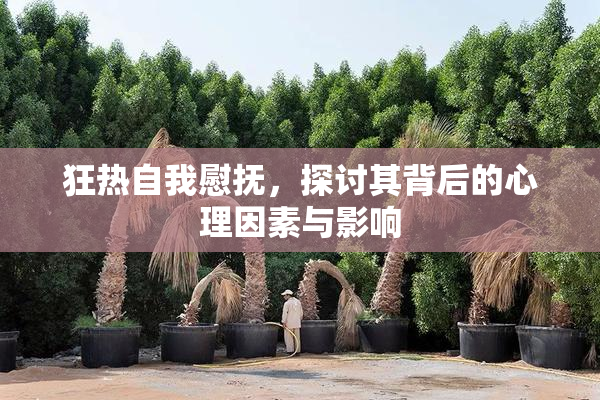 狂热自我慰抚，探讨其背后的心理因素与影响