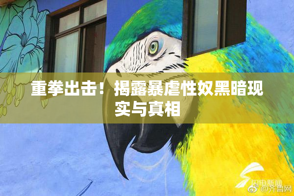 重拳出击！揭露暴虐性奴黑暗现实与真相