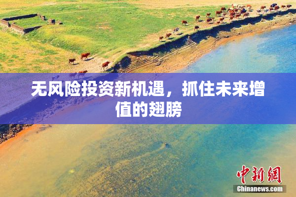 无风险投资新机遇，抓住未来增值的翅膀