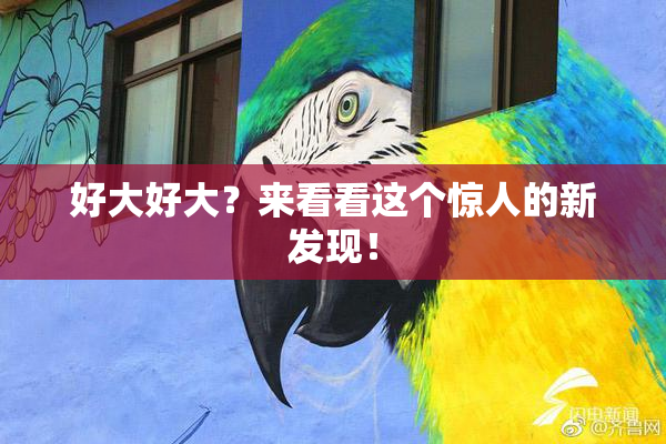 好大好大？来看看这个惊人的新发现！