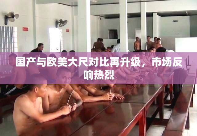 国产与欧美大尺对比再升级，市场反响热烈