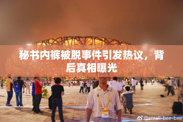 秘书内裤被脱事件引发热议，背后真相曝光