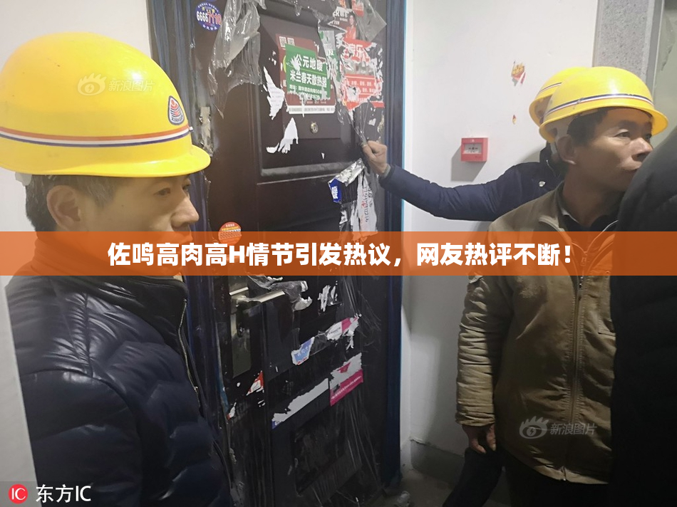 佐鸣高肉高H情节引发热议，网友热评不断！
